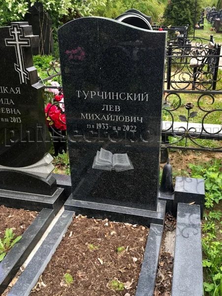 Памятник Льву Турчинскому